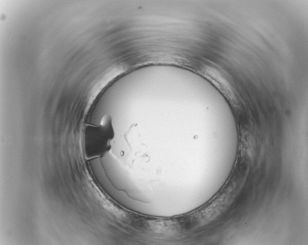 X0000086990804200704231843