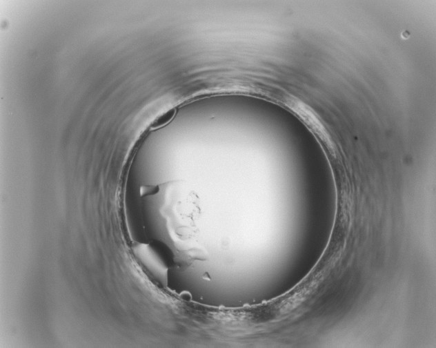 X0000086990805200704231843