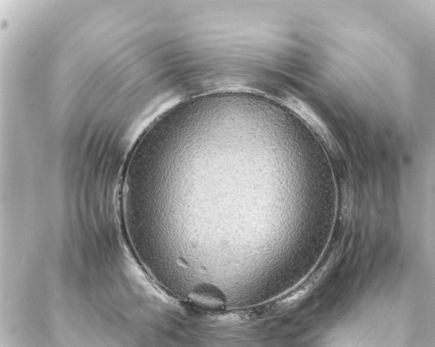 X0000086990806200704231843