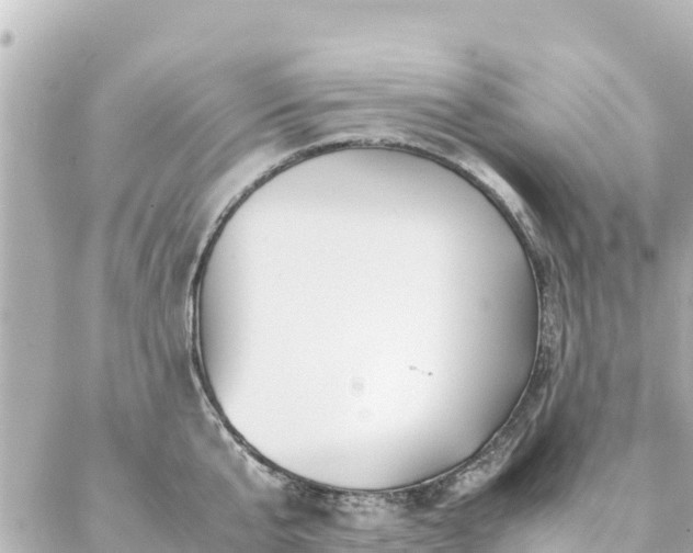 X0000086990807200704231843