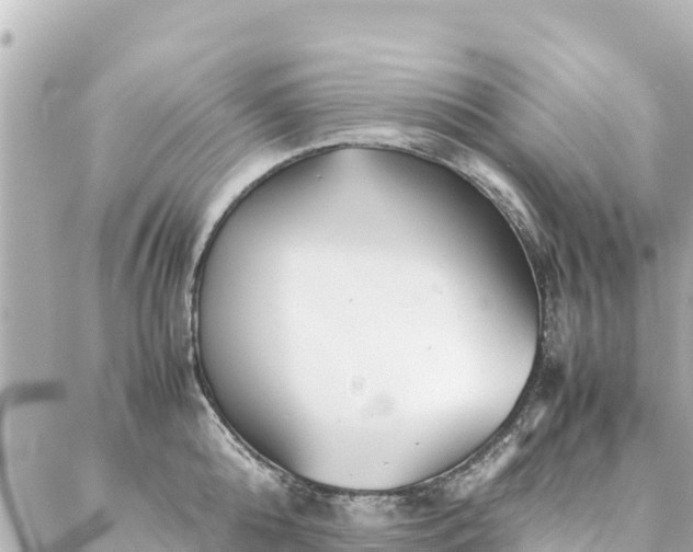 X0000086990808200704231843