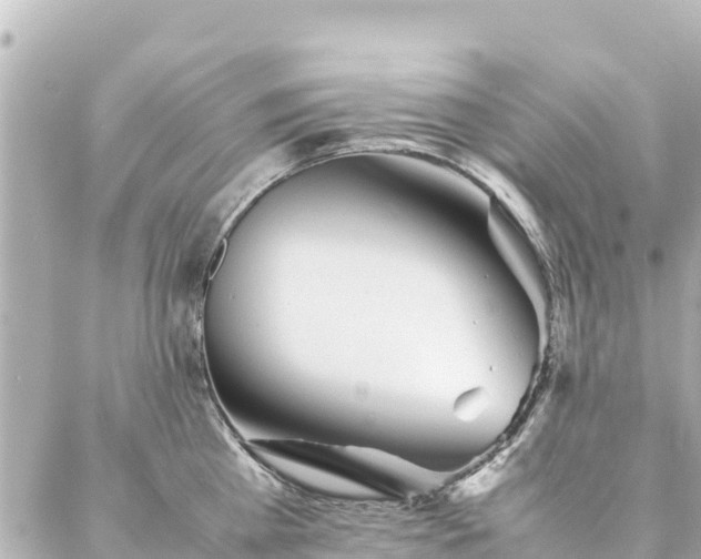 X0000086990809200704231843