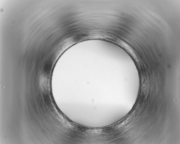 X0000086990810200704231843