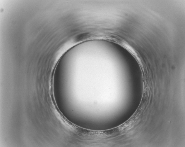 X0000086990811200704231843