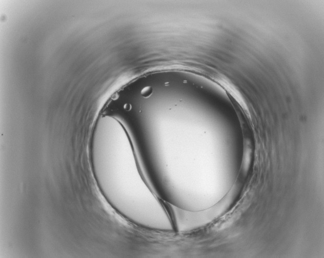 X0000086990813200704231843