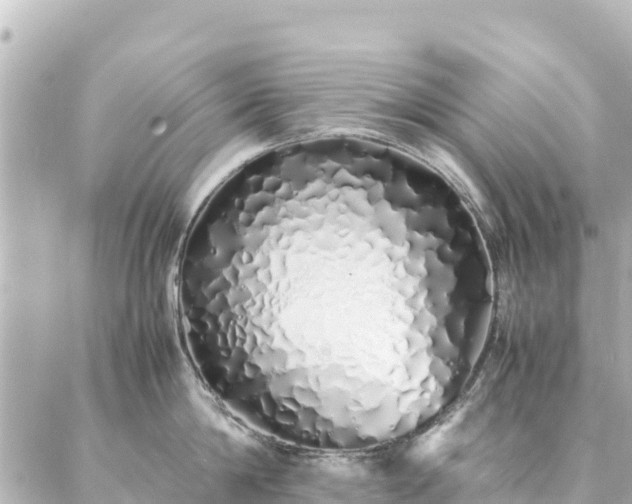 X0000086990814200704231843