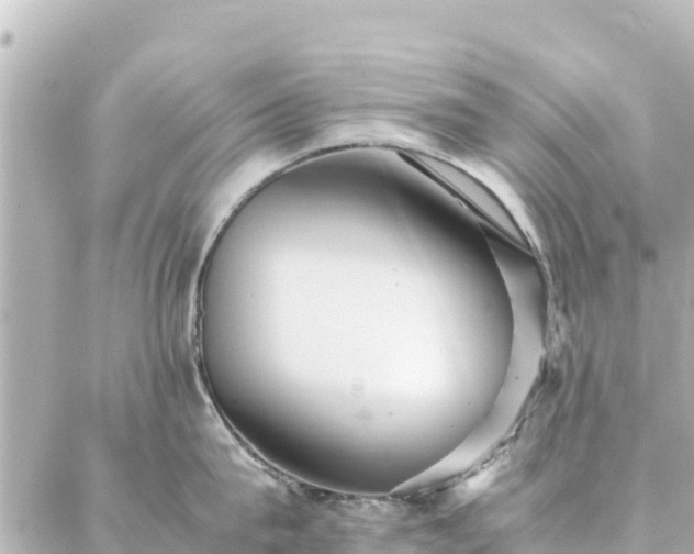 X0000086990815200704231843