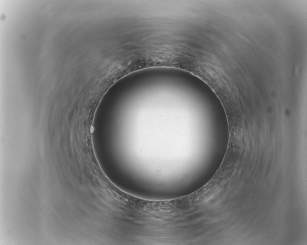 X0000086990817200704231842