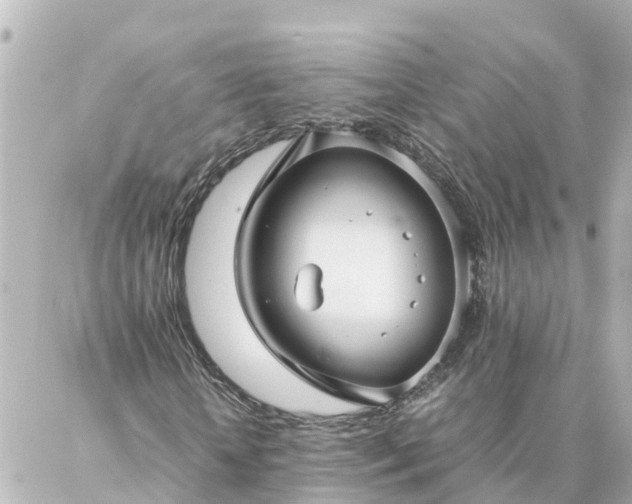 X0000086990818200704231842