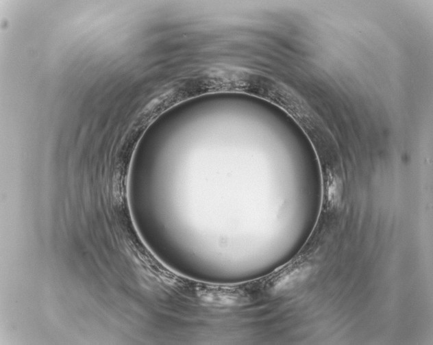 X0000086990819200704231842