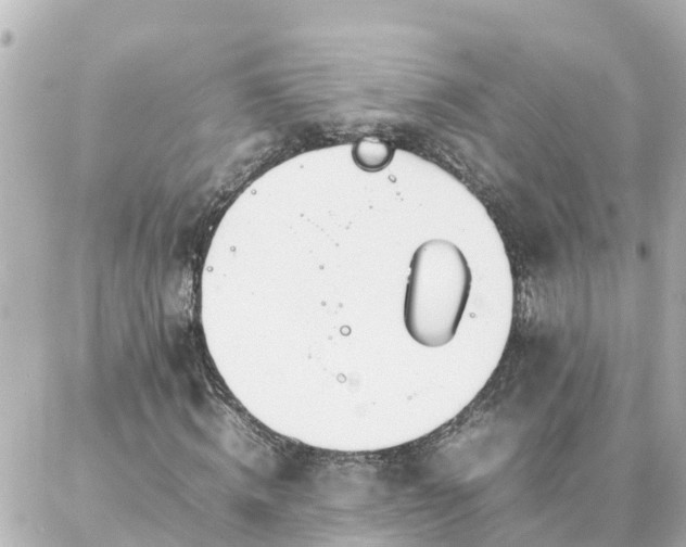 X0000086990820200704231842