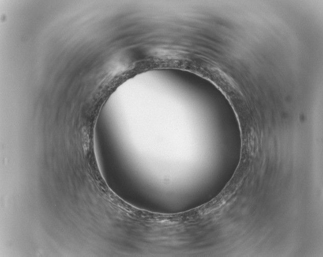 X0000086990821200704231842