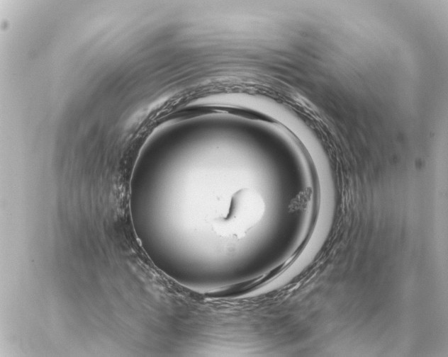 X0000086990822200704231842