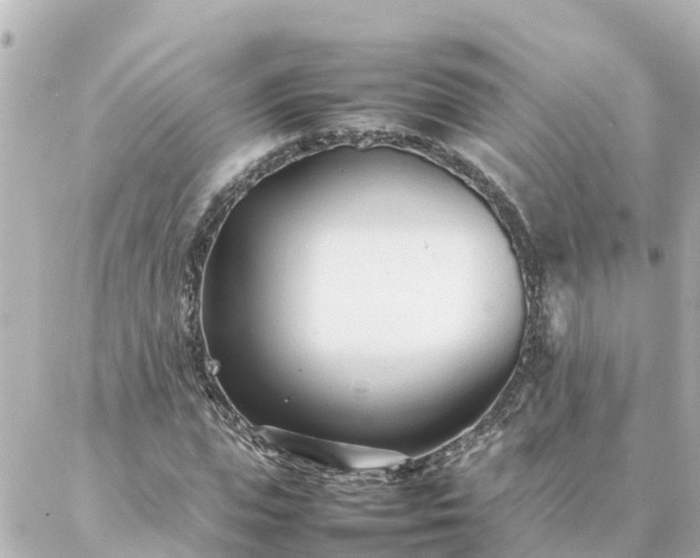 X0000086990823200704231842