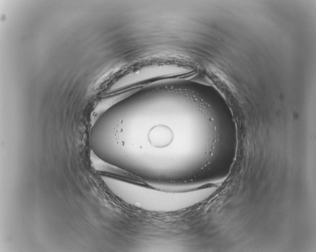 X0000086990824200704231842