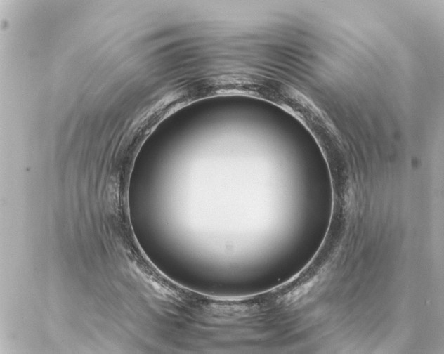 X0000086990825200704231842