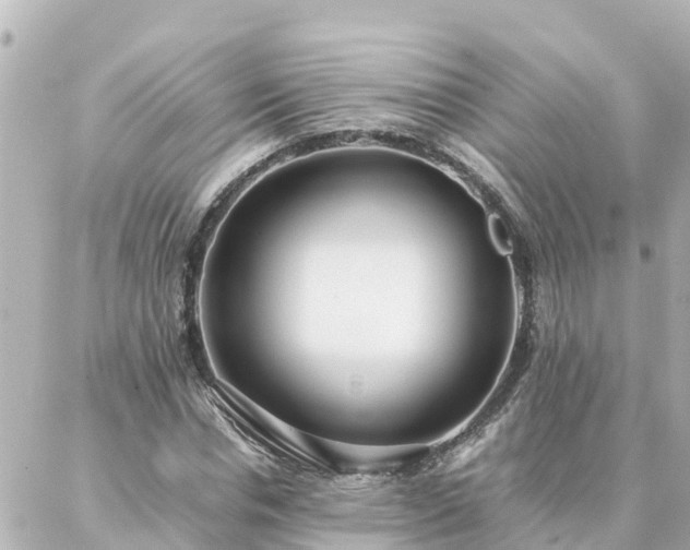 X0000086990826200704231842