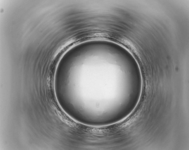 X0000086990827200704231843