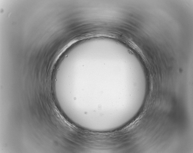 X0000086990828200704231843