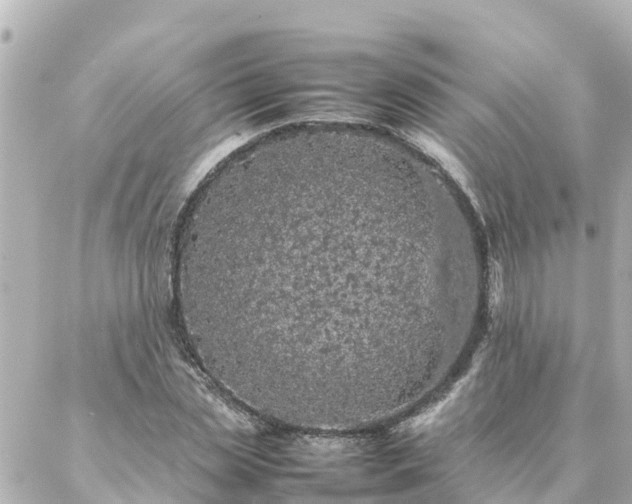 X0000086990829200704231843