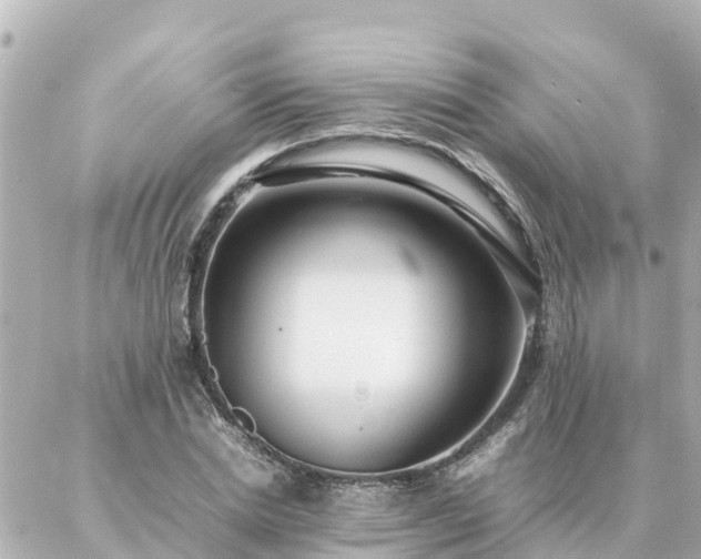 X0000086990830200704231843