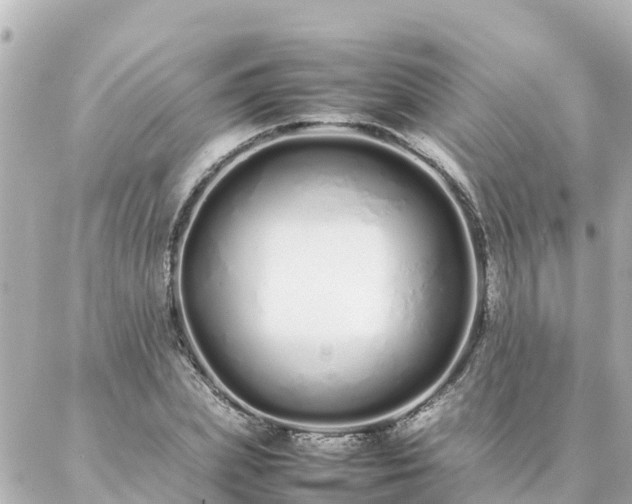 X0000086990831200704231843