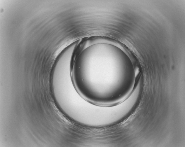 X0000086990834200704231843