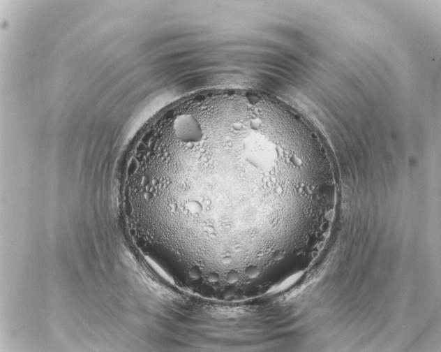 X0000086990835200704231843