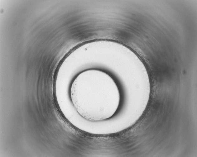 X0000086990836200704231843