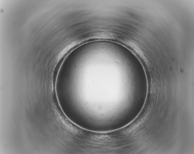 X0000086990837200704231843