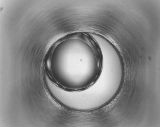 X0000086990838200704231843