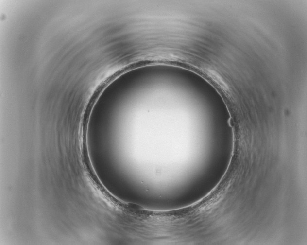 X0000086990840200704231843