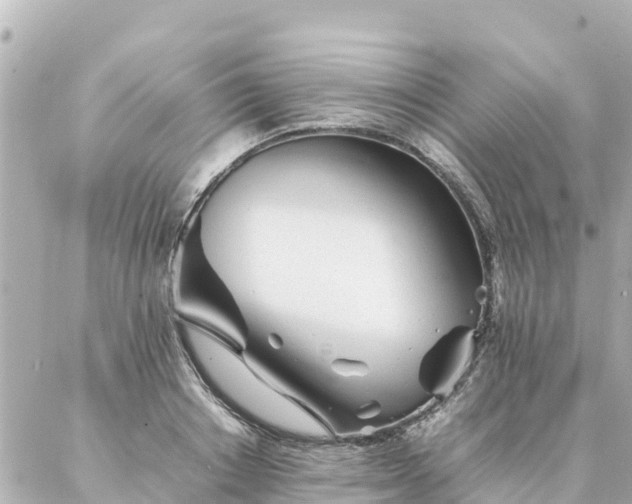 X0000086990842200704231843