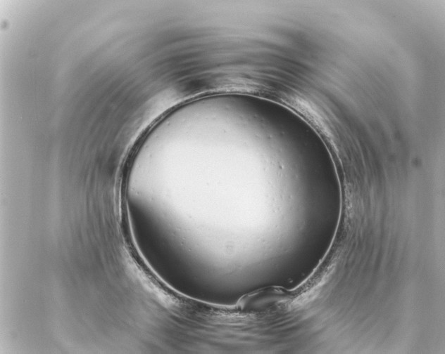 X0000086990843200704231843