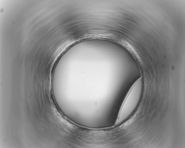 X0000086990844200704231843