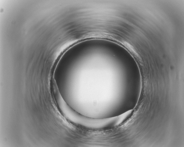 X0000086990846200704231843