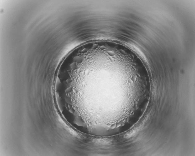 X0000086990847200704231843