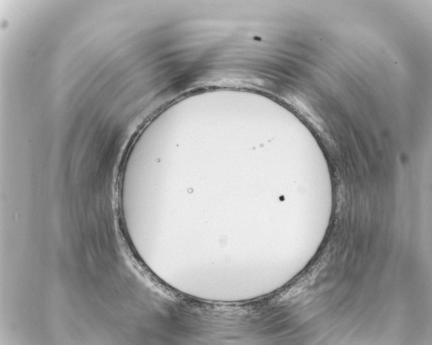 X0000086990848200704231843