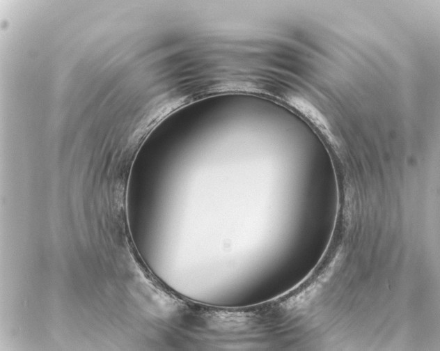 X0000086990849200704231843