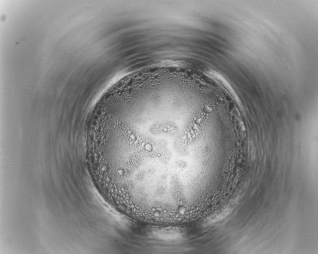 X0000086990851200704231843