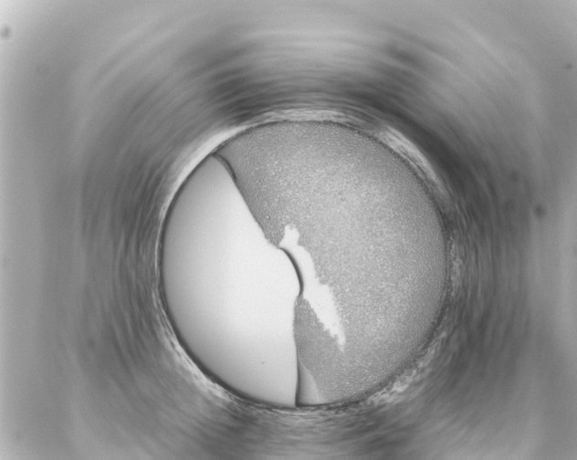 X0000086990852200704231843