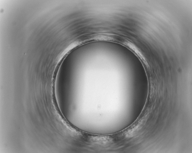 X0000086990853200704231843