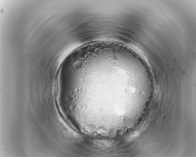 X0000086990855200704231843