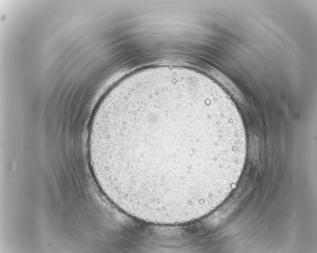 X0000086990856200704231843