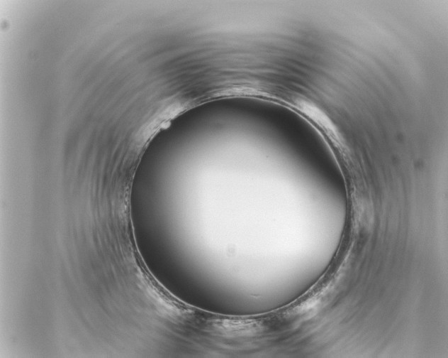 X0000086990857200704231843