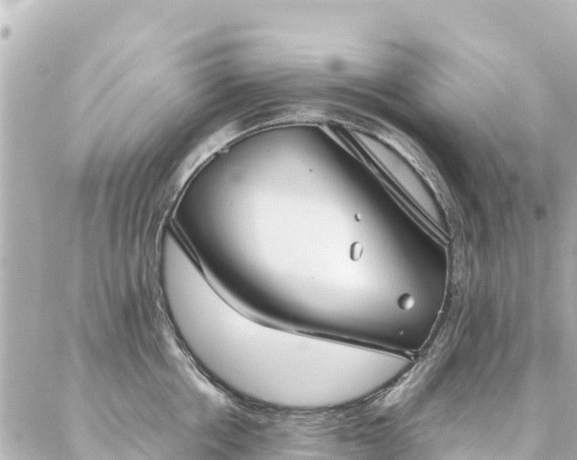 X0000086990858200704231843