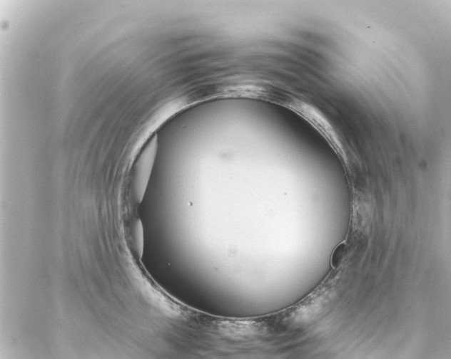 X0000086990859200704231843