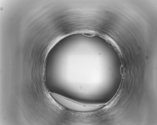 X0000086990860200704231843