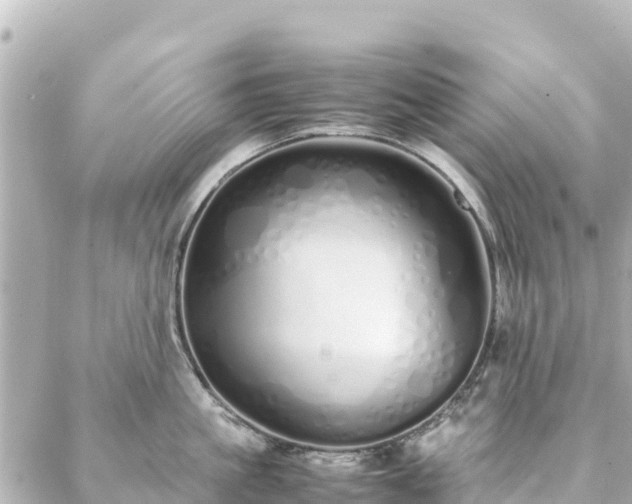 X0000086990861200704231843