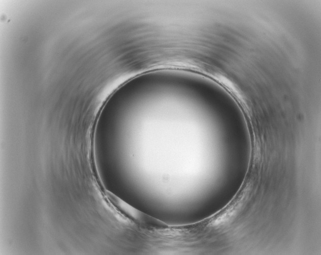 X0000086990862200704231843